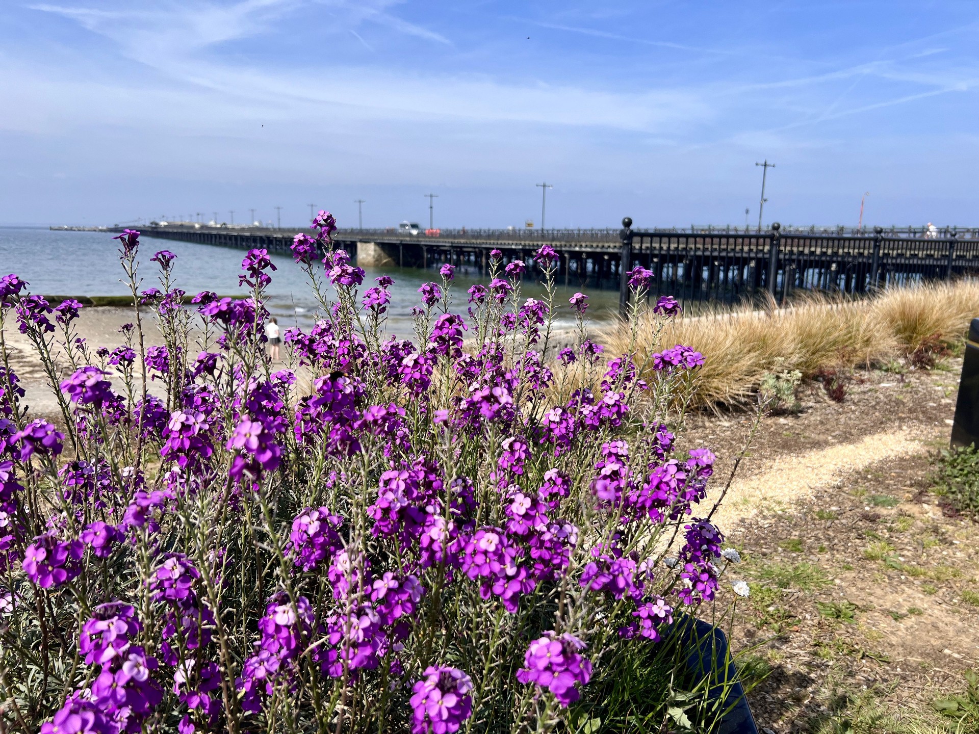 A walk in Ryde