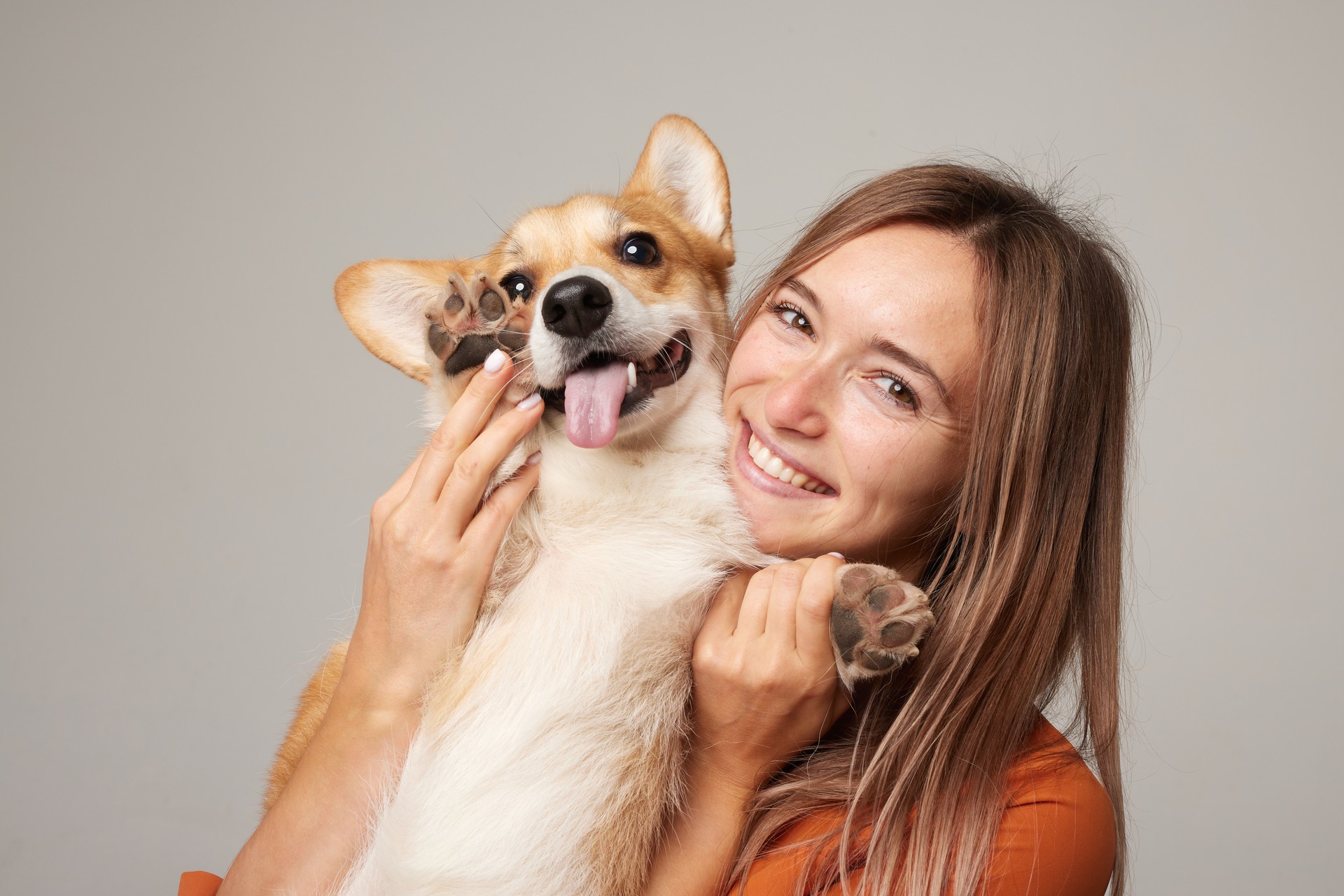 a brunette girl holds and hugs a red corgi dog on a clean light background, the concept of love for animals